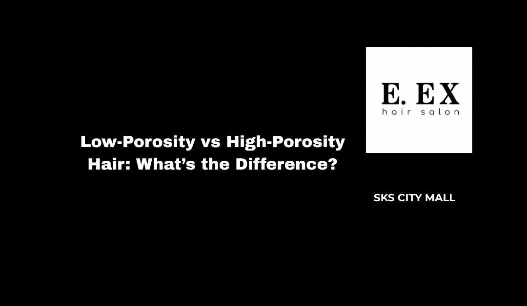Low-Porosity vs High-Porosity Hair_ What’s the Difference